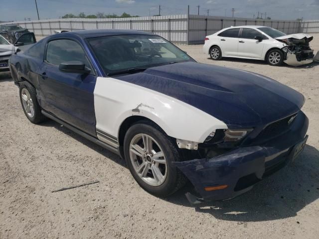 2010 Ford Mustang