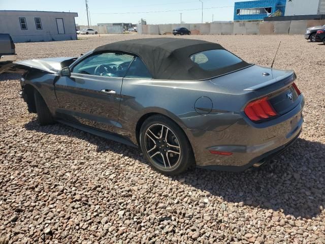 2019 Ford Mustang