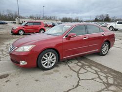 Lexus ES 350 Vehiculos salvage en venta: 2011 Lexus ES 350