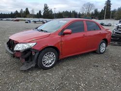 2010 Toyota Corolla Base for sale in Graham, WA