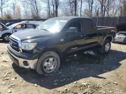 Salvage cars for sale at Waldorf, MD auction: 2010 Toyota Tundra Double Cab SR5