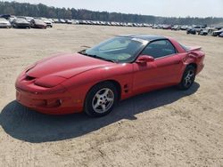 Salvage cars for sale at Harleyville, SC auction: 1999 Pontiac Firebird