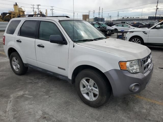 2008 Ford Escape HEV