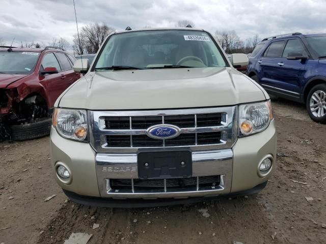 2011 Ford Escape Limited