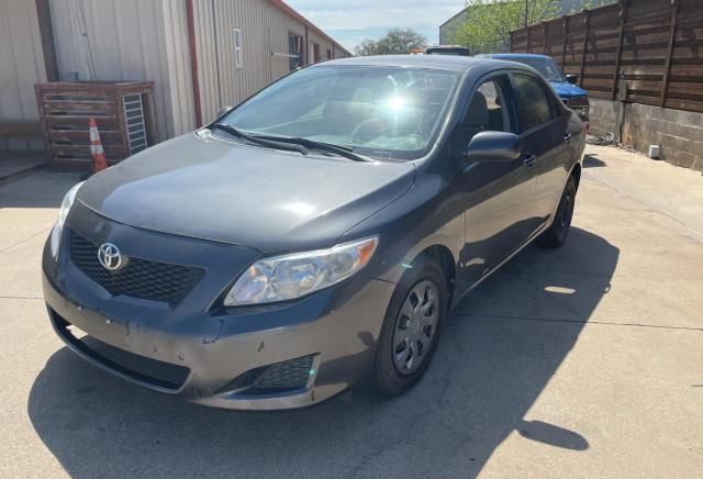 2010 Toyota Corolla Base