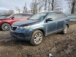 Salvage cars for sale from Copart Central Square, NY: 2011 KIA Sorento Base