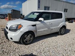 Salvage cars for sale at Temple, TX auction: 2011 KIA Soul +