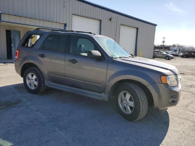 2010 Ford Escape XLT