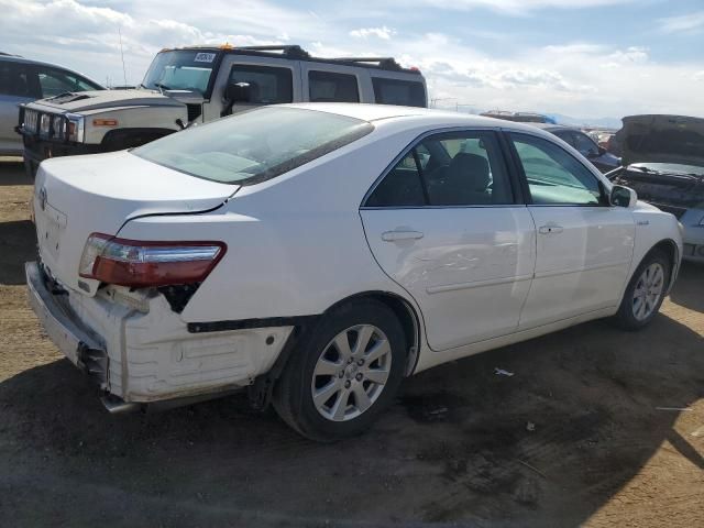 2009 Toyota Camry Hybrid