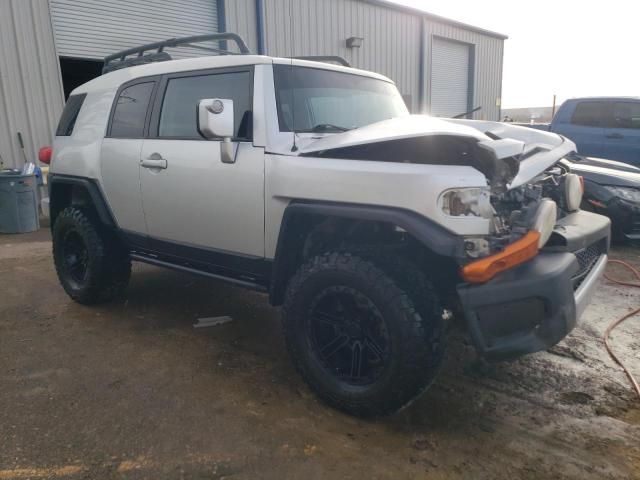 2007 Toyota FJ Cruiser