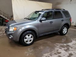 Salvage cars for sale at Davison, MI auction: 2009 Ford Escape XLT