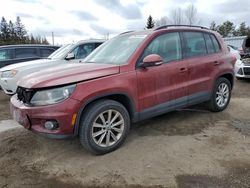 Salvage cars for sale from Copart Ontario Auction, ON: 2015 Volkswagen Tiguan S