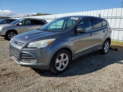 2014 Ford Escape SE for sale in Anderson, CA