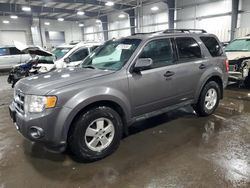 Salvage cars for sale at Ham Lake, MN auction: 2012 Ford Escape XLT