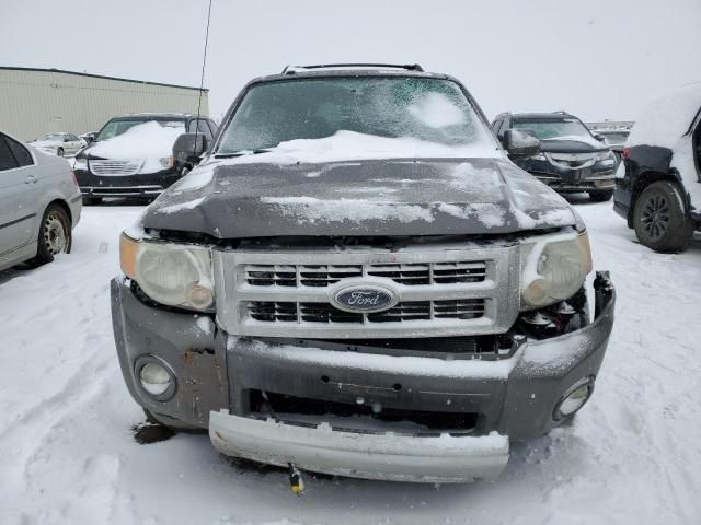 2009 Ford Escape Limited