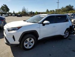 Salvage cars for sale at San Martin, CA auction: 2020 Toyota Rav4 XLE