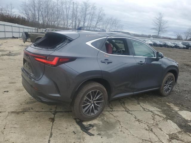 2024 Lexus NX 350 Base