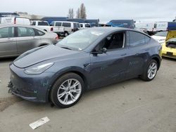 2023 Tesla Model Y for sale in Vallejo, CA