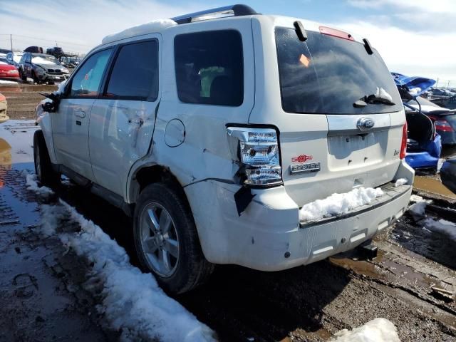 2011 Ford Escape Limited