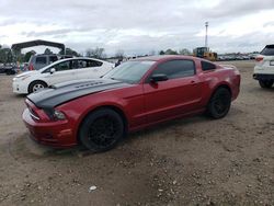 Salvage cars for sale from Copart Newton, AL: 2014 Ford Mustang