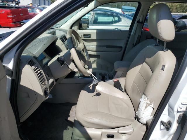 2008 Ford Escape XLT