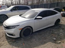 Salvage cars for sale at Waldorf, MD auction: 2019 Honda Civic LX