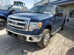 Salvage trucks for sale at Bridgeton, MO auction: 2013 Ford F150 Supercrew