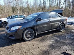 Salvage cars for sale from Copart Bowmanville, ON: 2010 Toyota Corolla Base