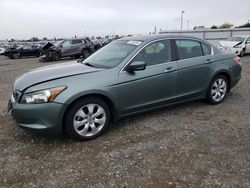 Salvage cars for sale from Copart Sacramento, CA: 2009 Honda Accord EXL