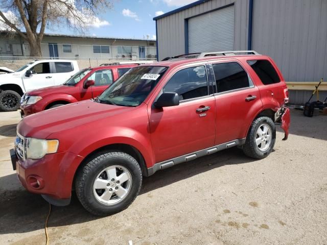 2012 Ford Escape XLT