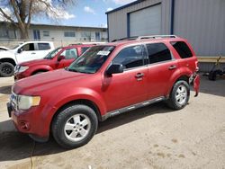 Ford Escape XLT salvage cars for sale: 2012 Ford Escape XLT