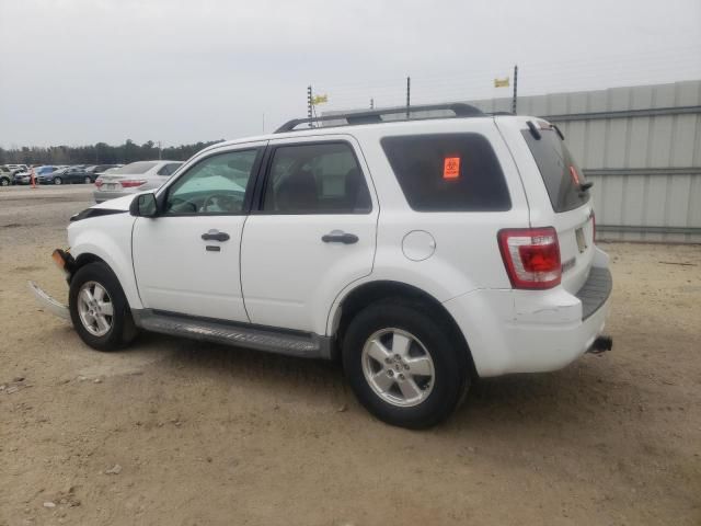 2011 Ford Escape XLT