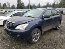 Lexus RX400 salvage cars for sale: 2006 Lexus RX 400