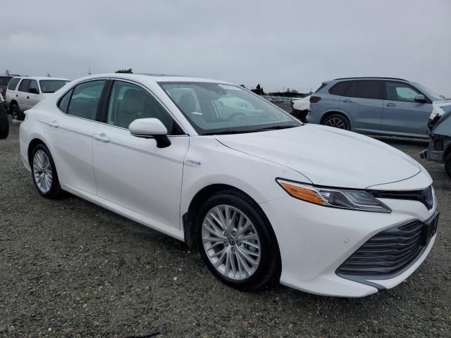 2020 Toyota Camry XLE