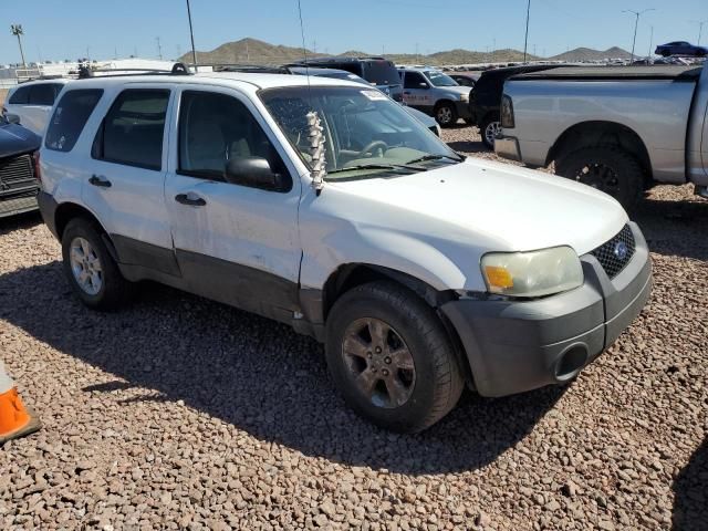 2005 Ford Escape XLT