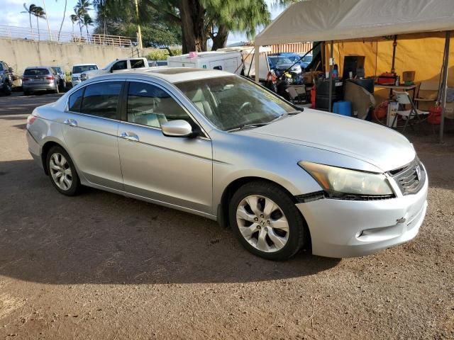 2010 Honda Accord EXL