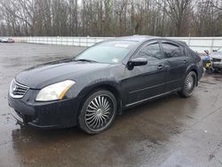 Nissan salvage cars for sale: 2007 Nissan Maxima SE