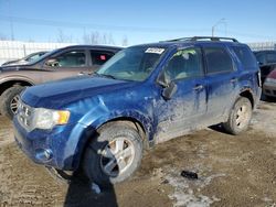 Salvage cars for sale from Copart Nisku, AB: 2008 Ford Escape XLT
