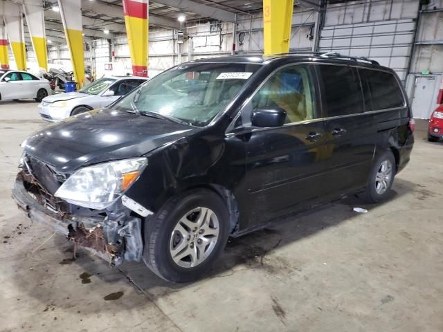 2005 Honda Odyssey EXL