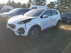 2022 KIA Sportage EX