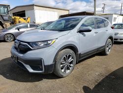 Vehiculos salvage en venta de Copart New Britain, CT: 2021 Honda CR-V EXL