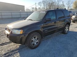 2002 Ford Escape XLT for sale in Gastonia, NC