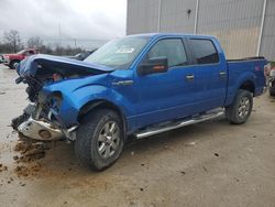 Salvage cars for sale at Lawrenceburg, KY auction: 2014 Ford F150 Supercrew