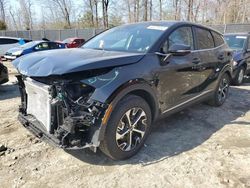 Salvage cars for sale from Copart Waldorf, MD: 2024 KIA Sportage EX