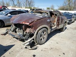 Salvage cars for sale at Bridgeton, MO auction: 2006 Ford Expedition Eddie Bauer