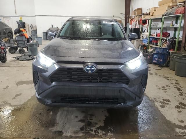 2023 Toyota Rav4 XLE