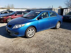 Salvage cars for sale from Copart Arlington, WA: 2010 Toyota Corolla Base