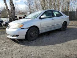 Toyota salvage cars for sale: 2007 Toyota Corolla CE