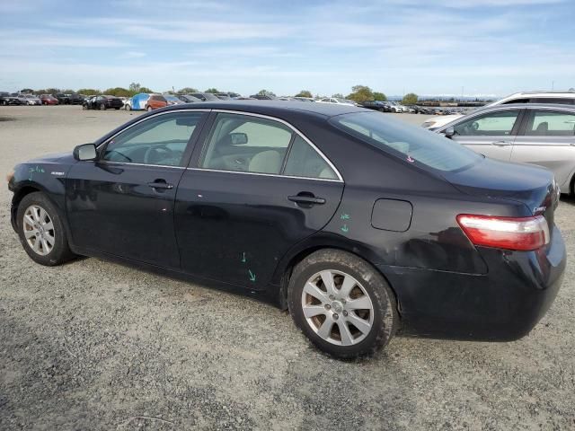 2007 Toyota Camry Hybrid