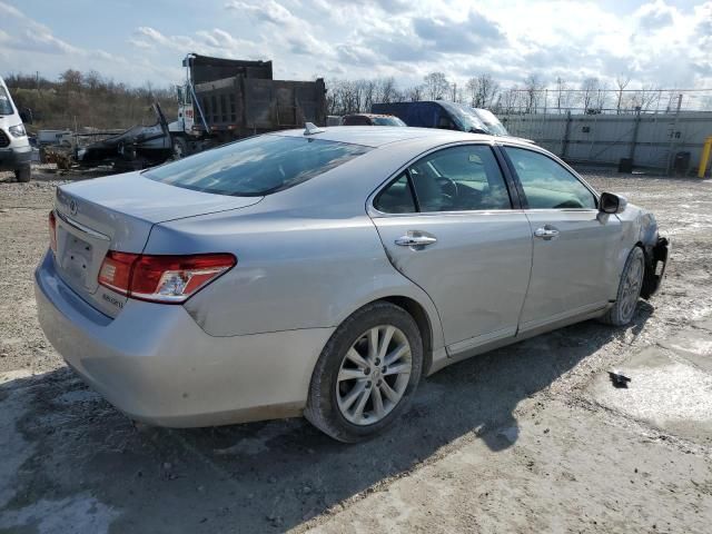 2010 Lexus ES 350